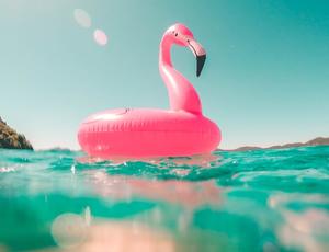 roze flamingo in zwembad
