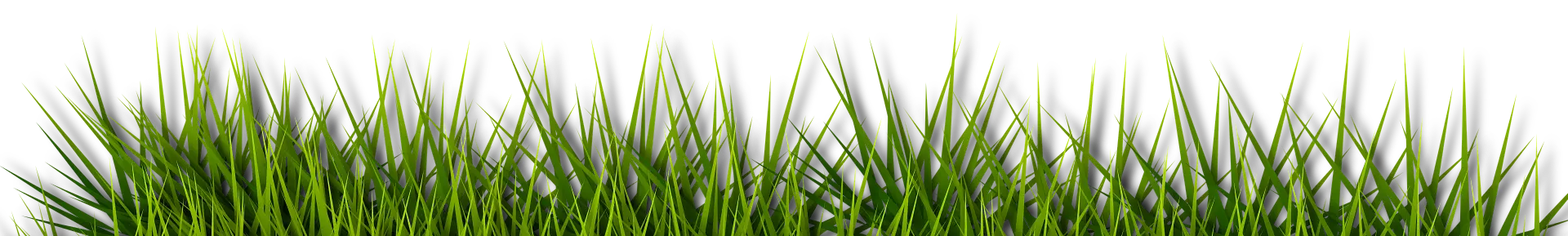 Groen gras