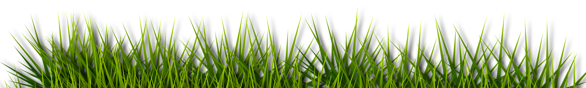 Groen gras