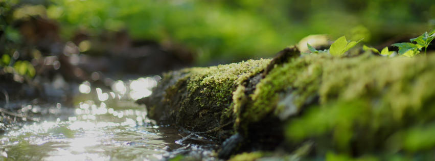 Landschap natuurwater - waterzuivering Veolia