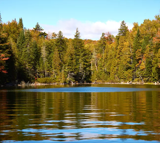 ecologische transformatie veolia - cultuur en waarden