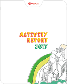 Activity report 2017